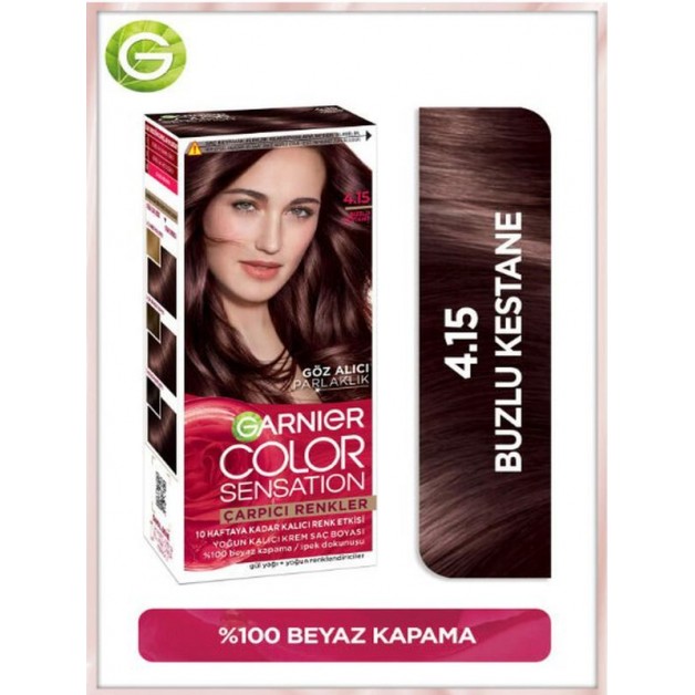 Garnier Saç Boyası & Çarpıcı Renkler No: 4.15 Buzlu Kestane