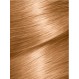 Garnier Saç Boyası & Color Naturels No: 7.3 Fındık Kabuğu